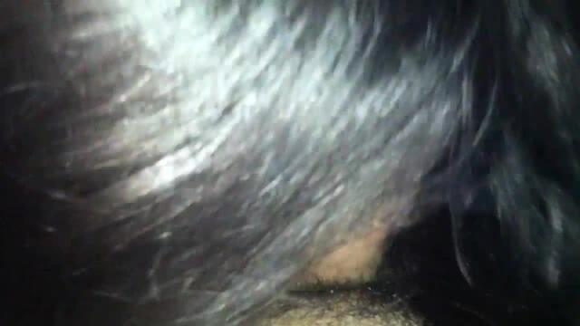 Img 0483.mov